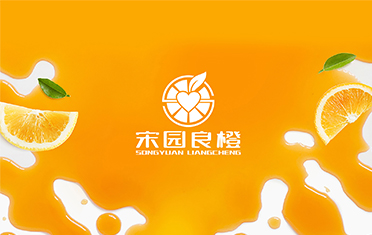 某良橙——丹东LOGO设计